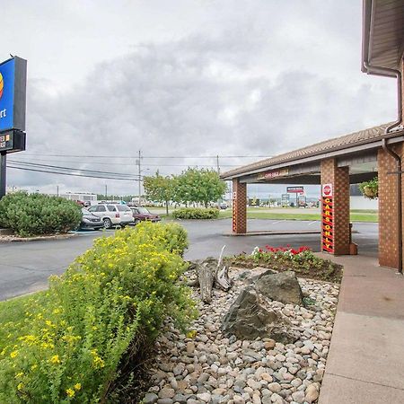 Comfort Inn Amherst Ngoại thất bức ảnh