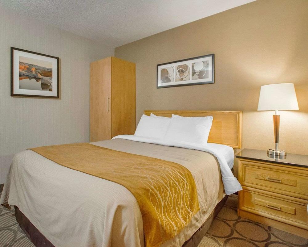 Comfort Inn Amherst Ngoại thất bức ảnh